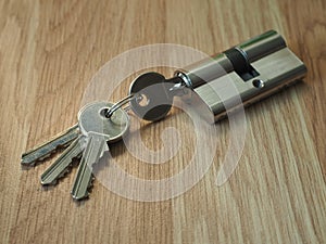 Door lock cylinder core with keys