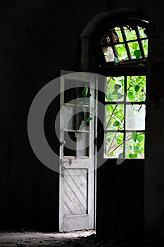 A door of an old, abandoned and damaged building open to greenery outside.