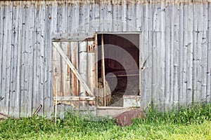 Door in an old barn