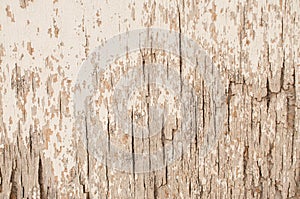 Door plywood texture broken background