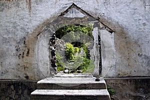 Door To The Rain Forest