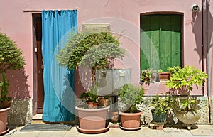 Door and Window in Marano Lagunare photo