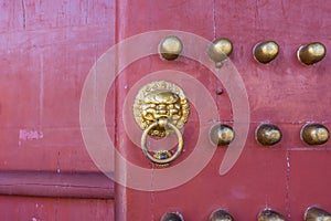 Doorknob with brass lion head of ancient Chinese red door of New Yuanming Palace, Zhuhai, China