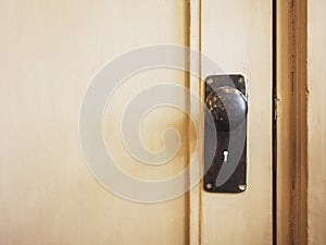 Doorknob with keyhole on wooden door Home Interior detail