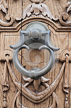 Doorknocker on allwood door.