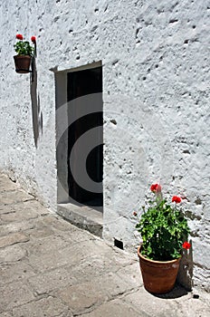 Doorway with bright flowers