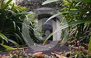 Doorway full of wild flowers and vergrown grass