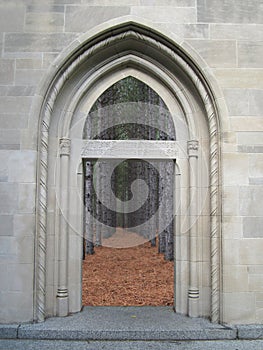 Doorway to the Forest