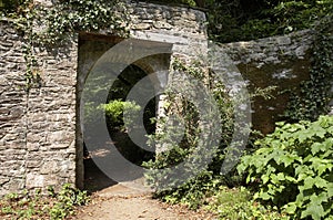 Doorway through to a lush green garden