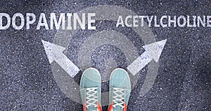 Dopamine and acetylcholine as different choices in life - pictured as words Dopamine, acetylcholine on a road to symbolize making