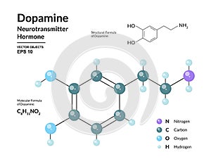 Dopamine Hormone. Neurotransmitter. Structural Chemical Molecular Formula and 3d Model. Atoms are Represented as Spheres