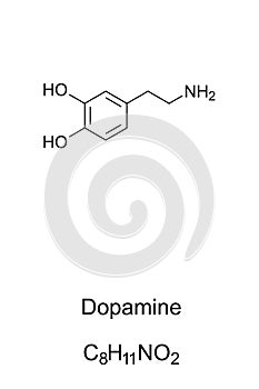 Dopamine molecule, skeletal formula