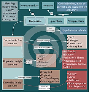 Dopamine is a neurotransmitter and a hormone