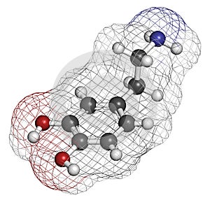 Dopamine neurotransmitter molecule. Catecholamine class compound that also acts as hormone. Atoms are represented as spheres with photo