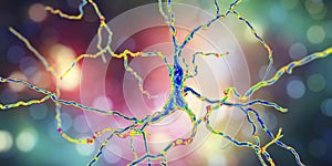 Dopaminergic neuron, computer reconstruction photo