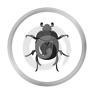 Dor-beetle icon in monochrome style isolated on white background. Insects symbol stock vector illustration.