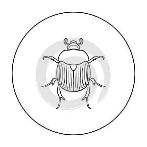 Dor-beetle icon in outline style isolated on white background. Insects symbol stock vector illustration.