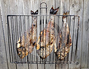 Dorada fish on grill photo