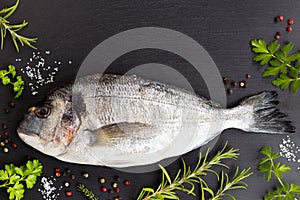 Dorada fish with herbs and spices on a dark background with copy