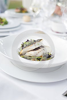 Dorada fish on plate