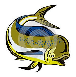 Dorado dolphin fish