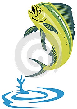 Dorado dolphin fish