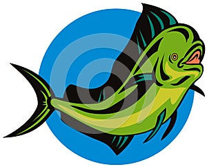 Dorado dolphin fish