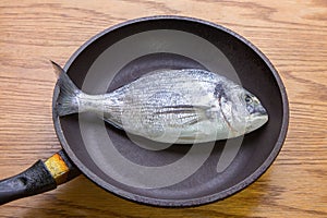 Dorado fish in a frying pan, healthy food. top vew