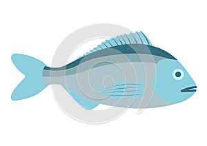 Dorado fish illustration.