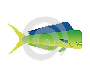 Dorado fish pixel art. 8 bit Mahi Mahi pixelated. vector illustration