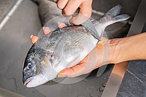 Dorado fish scales cleaning