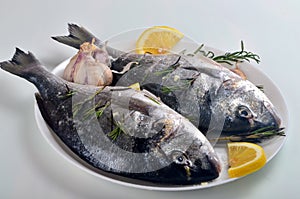 Dorado fish stuffed with lemon slices and green rosemary for cooking