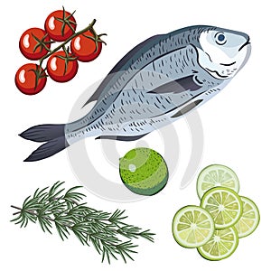 Dorado. Ingredients and spices for cooking fish. photo