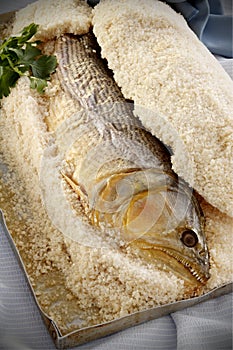 Dorado Salt Fish