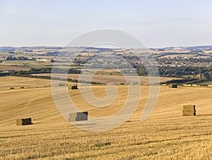 Dorchester farmland dorset england