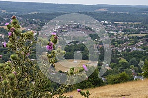Dorking Surrey From Box Hill