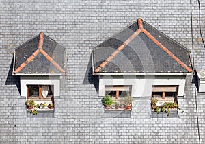 Dormer windows on the roof of a building