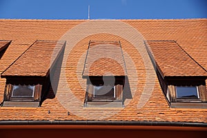 Dormer windows on the roof of the building