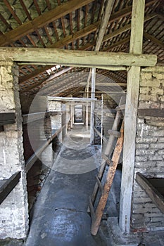 Birkenau camp