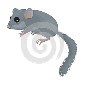 Dormouse vector icon.Cartoon vector icon isolated on white background dormouse.