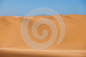 Dorob National Park Namibia