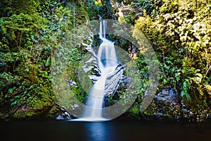 Dorothy Falls in Kokatahi, New Zealand