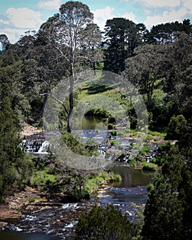 Dorrigo Swimming Hole