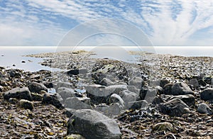 Dorset coast UK Kimmeridge Bay