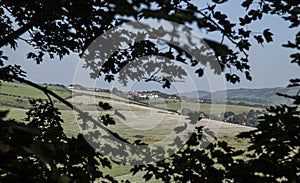 Dorset - a view through the leaves.