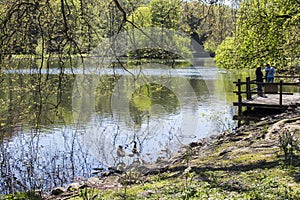 Dortmund, Ruhr Area, North Rhine Westphalia ,Germany - April 16 2018: Romberg Park is part of the European Gard