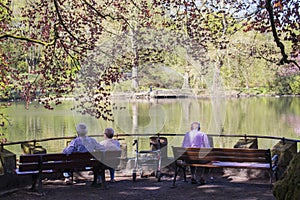 Dortmund, Ruhr Area, North Rhine Westphalia ,Germany - April 16 2018: Romberg Park is part of the European Garden Network