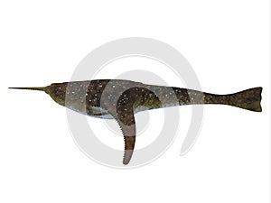 Doryaspis Fish over White