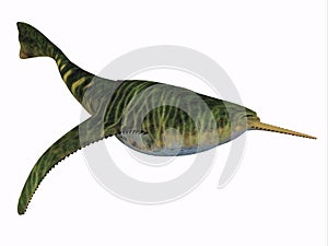 Doryaspis Fish on White