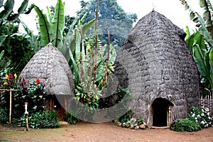 Dorze hut